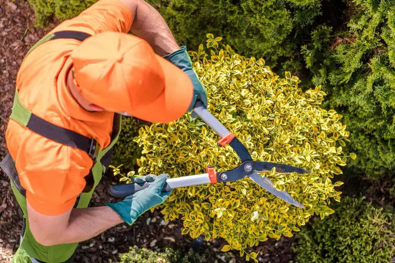 Landscaper