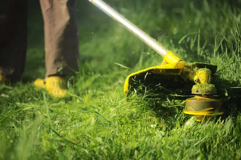 Landscaper