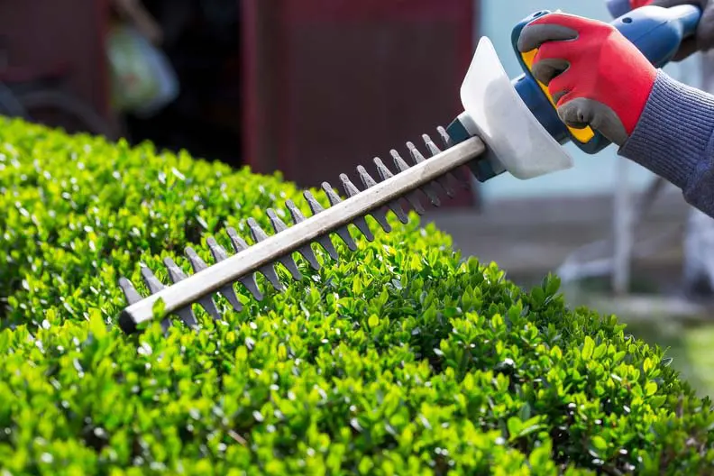 Landscaper