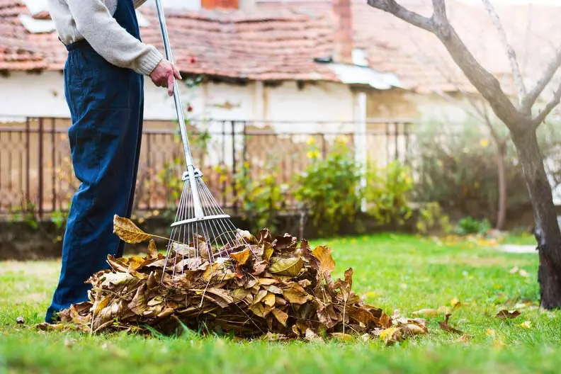 Landscaper