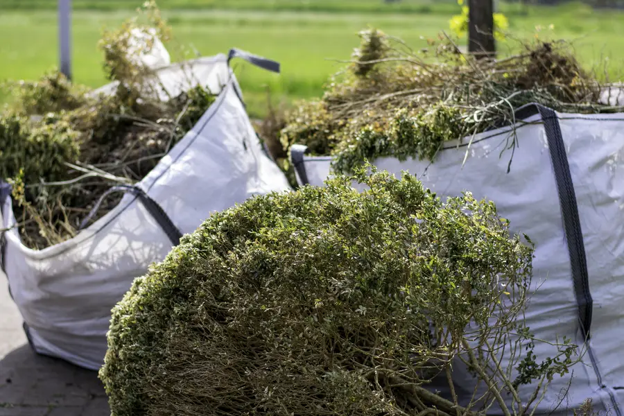 Bush Hogging For Safer Property Maintenance Northport, AL Bush Hogging For Safer Property Maintenance Northport, AL