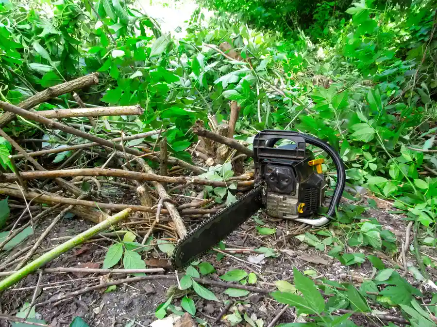 Bush Hogging For Safer Property Maintenance in Northport, AL Bush Hogging For Safer Property Maintenance in Northport, AL