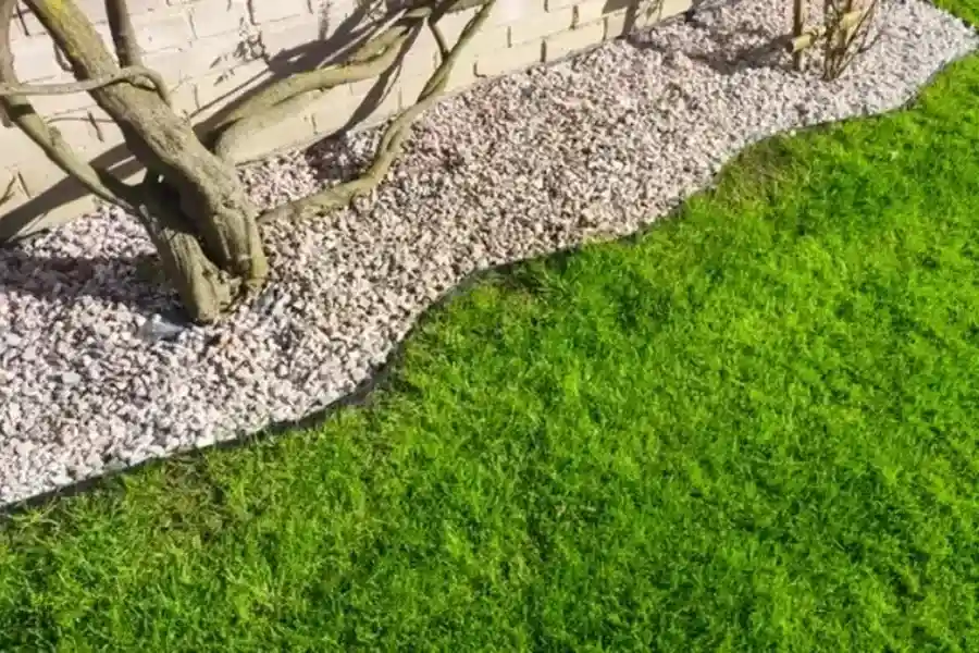Lawn Edging Installation Basics Homeowners Should Know in Northport, AL Lawn Edging Installation Basics Homeowners Should Know in Northport, AL