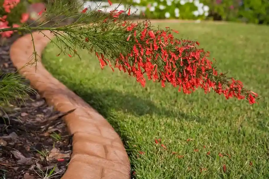 Local Lawn Edging Northport, AL Local Lawn Edging Northport, AL