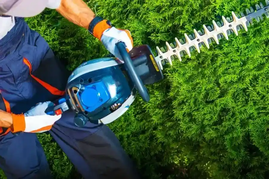 Quality Shrub Trimming Northport, AL Quality Shrub Trimming Northport, AL
