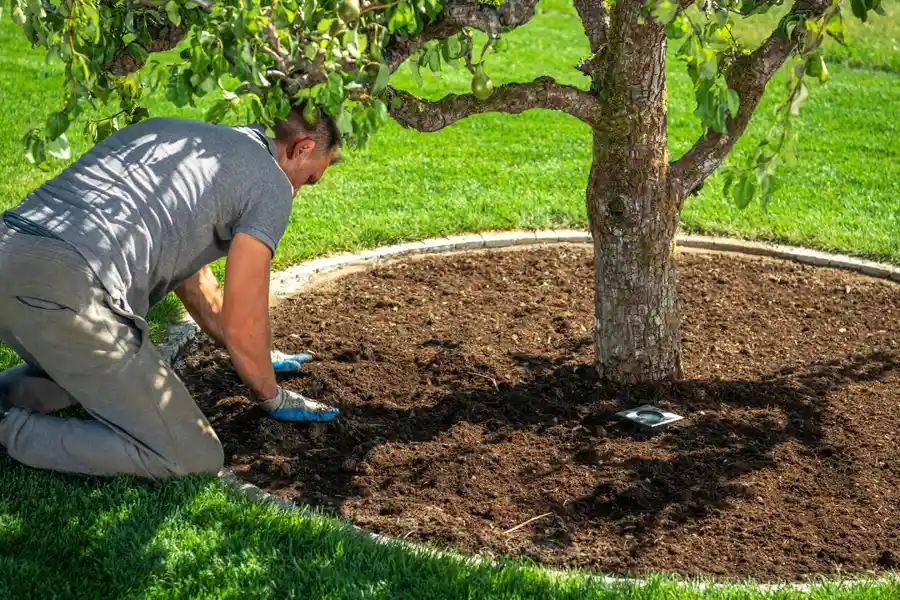 Ram99 Lawn Care's Other Services