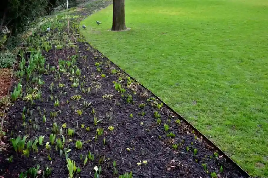 Top-rated Lawn Edging Northport, AL Top-rated Lawn Edging Northport, AL